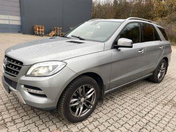 autoverwertung fahrzeug entsorgung